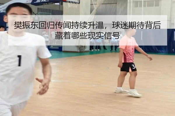 樊振东回归传闻持续升温，球迷期待背后藏着哪些现实信号